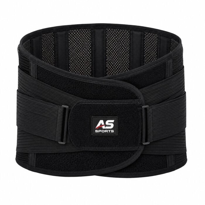 Back Support Belt